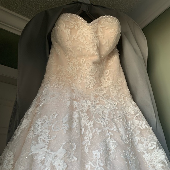 Symphony of Venus Blush Wedding Dress - Picture 4 of 16